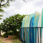 2025089期双色球开奖时间具体安排公布 0rrxh0ws