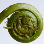 40345期最新开奖结果查询与中奖号码公布 45n7q95