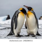 2025078期彩票开奖结果最新公布 55c1i80