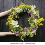 2025092期双色球开奖号码正式公布 73mh4xkv