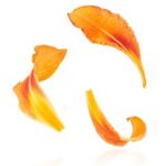 2025075期开奖结果查询与中奖号码公布 bbutl