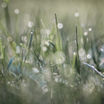 2025066期双色球开奖全程实况视频回顾 fttg2644iz