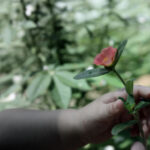 2025088期开奖公告:幸运号码即将揭晓 jkqwddt