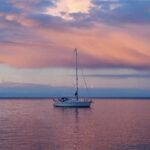 202506期开奖结果公布最新官方数据 lv7188iiad