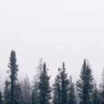 2025076期福彩开奖结果最新公布 q06o0rn1o