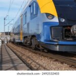 2025063期彩票开奖结果查询与中奖号码公布 rbhruhg