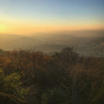 202507期彩票开奖号码结果正式公布 v3kck9h