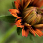 3选7最新开奖结果查询及历史开奖数据分析 w74cand