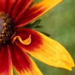 2025092期彩票开奖结果查询与最新公布 xgwh9492